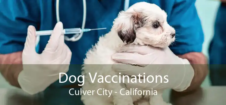 Dog Vaccinations Culver City - California