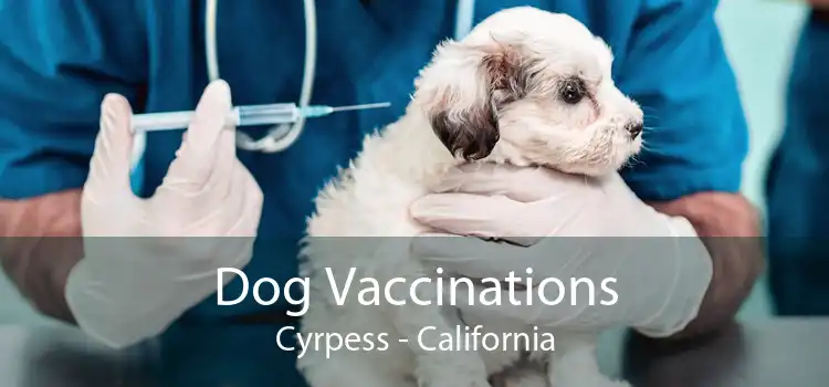 Dog Vaccinations Cyrpess - California