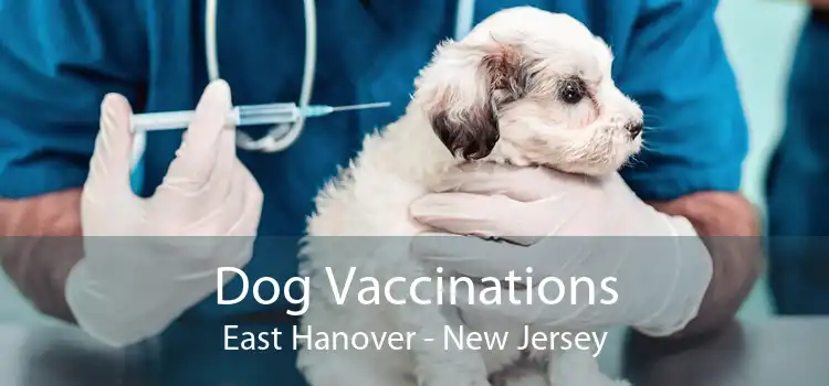 Dog Vaccinations East Hanover - New Jersey