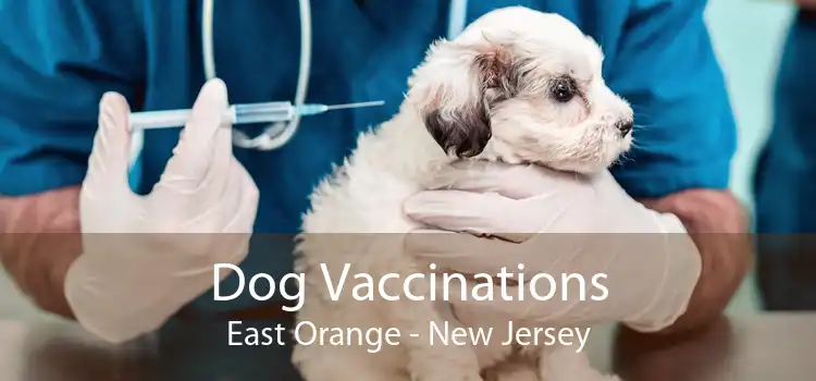Dog Vaccinations East Orange - New Jersey