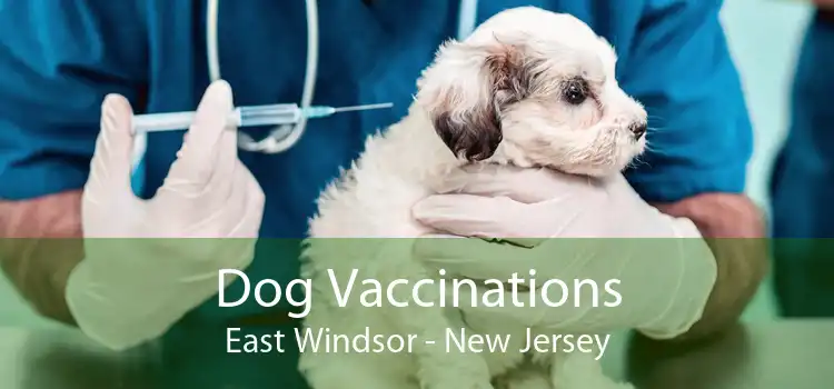 Dog Vaccinations East Windsor - New Jersey