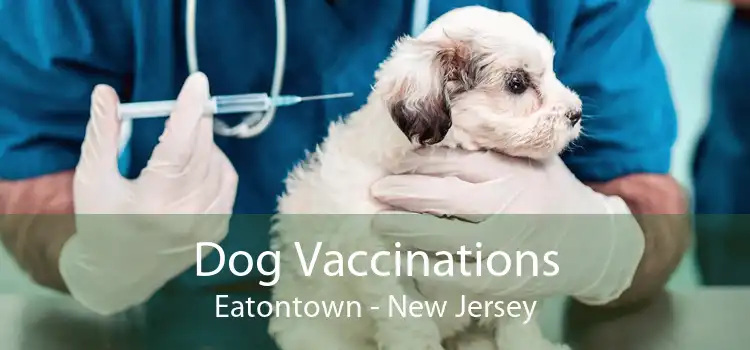 Dog Vaccinations Eatontown - New Jersey