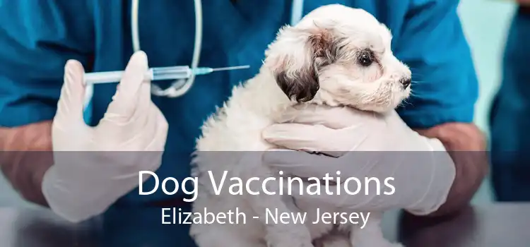 Dog Vaccinations Elizabeth - New Jersey