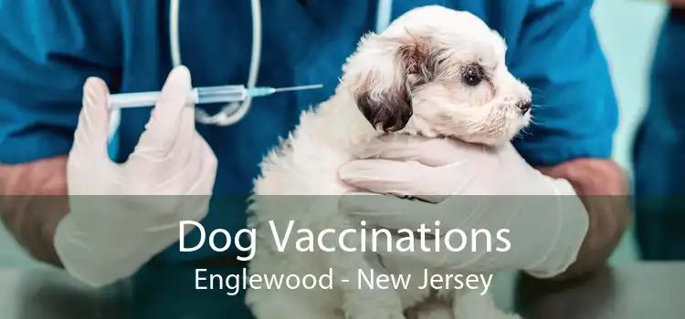 Dog Vaccinations Englewood - New Jersey