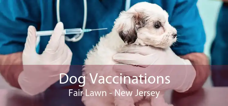 Dog Vaccinations Fair Lawn - New Jersey