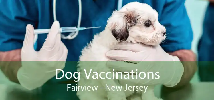 Dog Vaccinations Fairview - New Jersey
