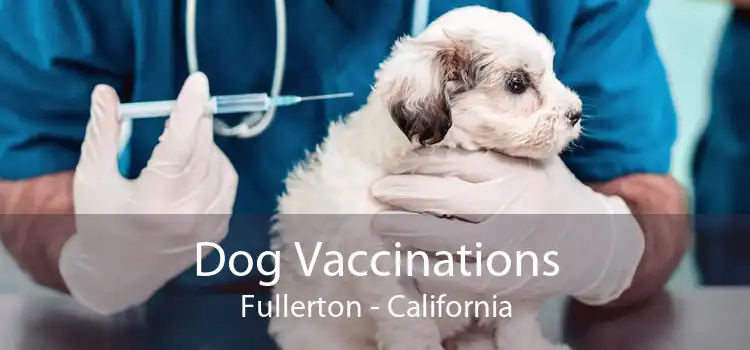 Dog Vaccinations Fullerton - California
