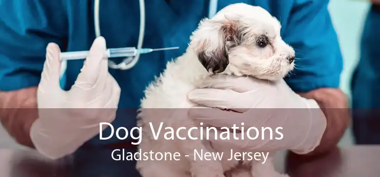 Dog Vaccinations Gladstone - New Jersey