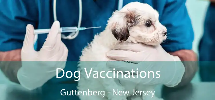 Dog Vaccinations Guttenberg - New Jersey