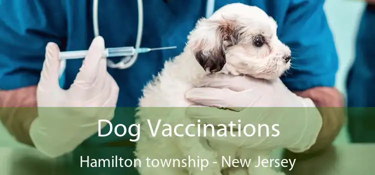 Dog Vaccinations Hamilton township - New Jersey