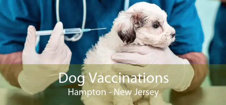 Dog Vaccinations Hampton - New Jersey