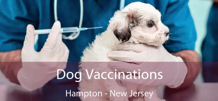 Dog Vaccinations Hampton - New Jersey