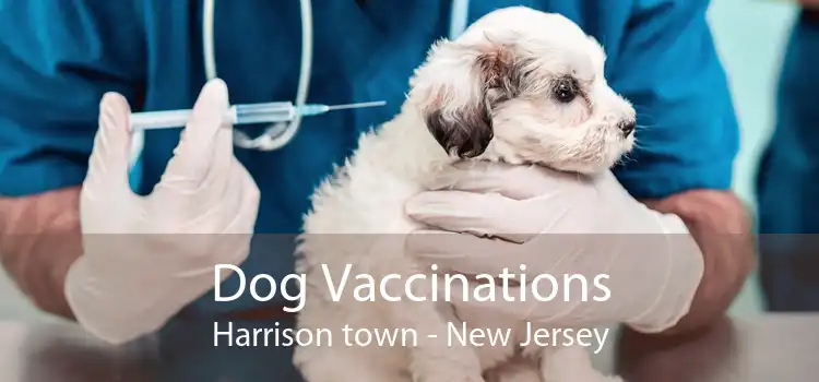 Dog Vaccinations Harrison town - New Jersey
