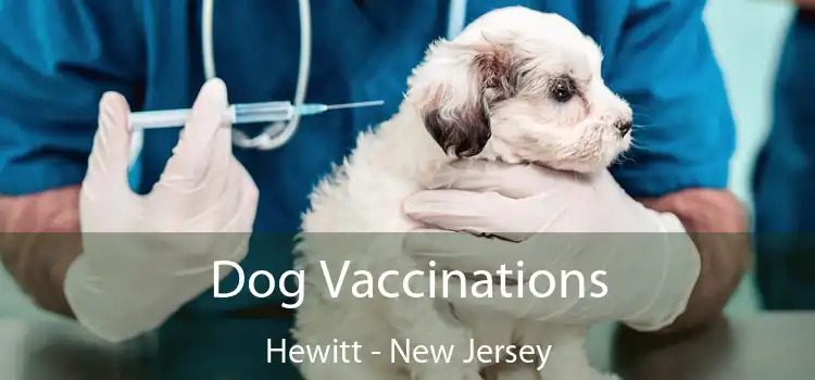 Dog Vaccinations Hewitt - New Jersey