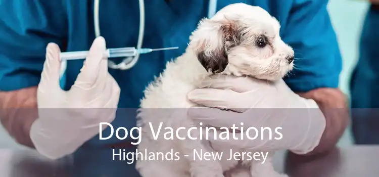 Dog Vaccinations Highlands - New Jersey