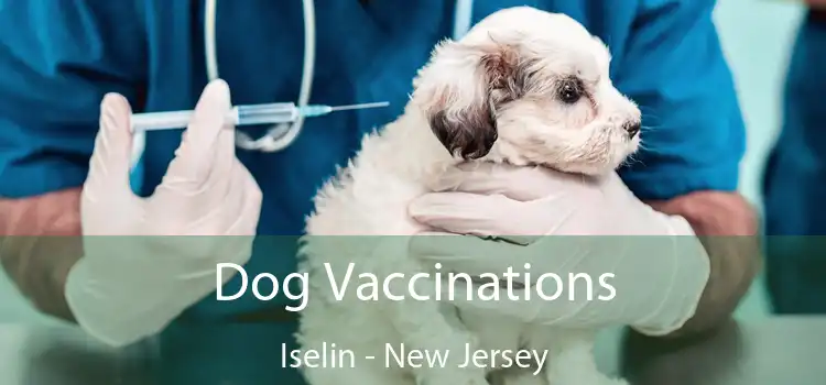 Dog Vaccinations Iselin - New Jersey