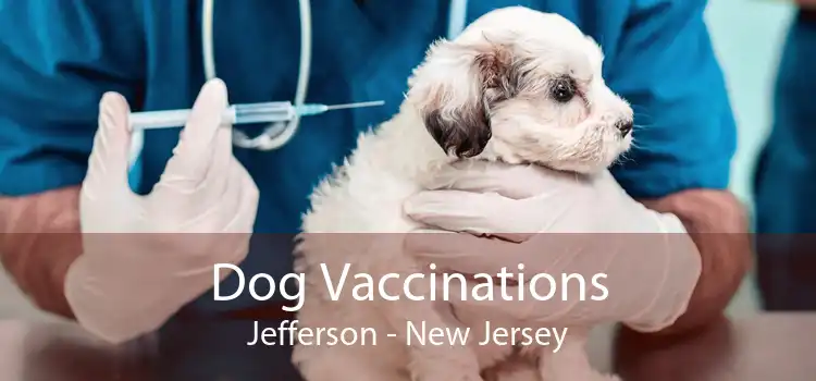 Dog Vaccinations Jefferson - New Jersey