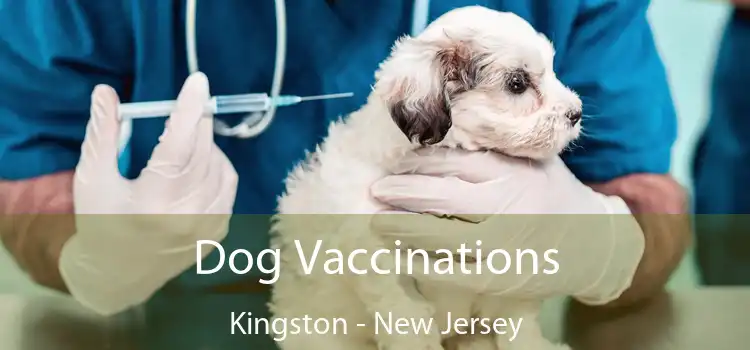 Dog Vaccinations Kingston - New Jersey