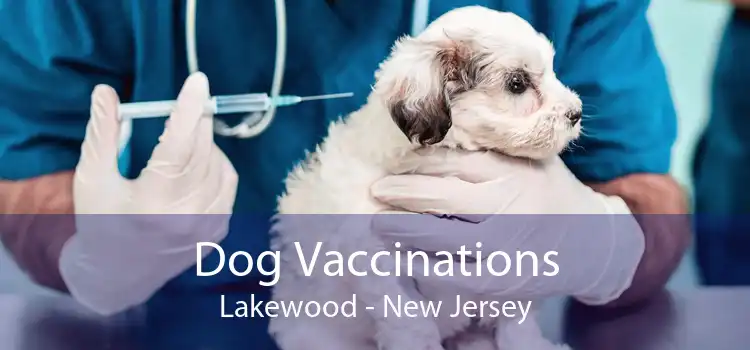 Dog Vaccinations Lakewood - New Jersey