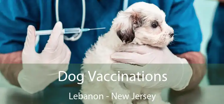 Dog Vaccinations Lebanon - New Jersey