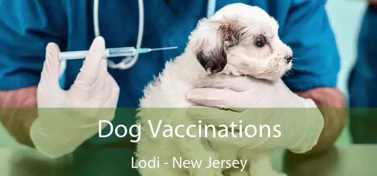 Dog Vaccinations Lodi - New Jersey