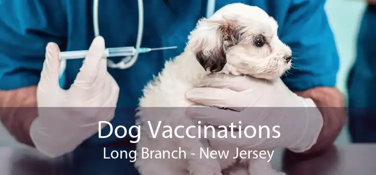 Dog Vaccinations Long Branch - New Jersey