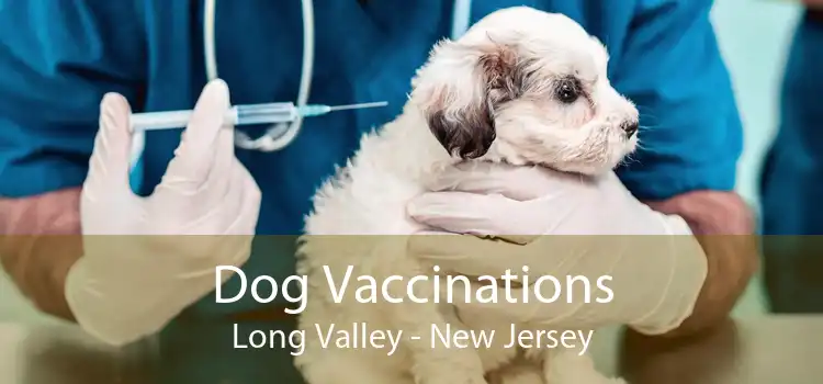Dog Vaccinations Long Valley - New Jersey