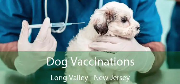 Dog Vaccinations Long Valley - New Jersey