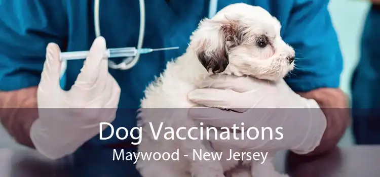 Dog Vaccinations Maywood - New Jersey