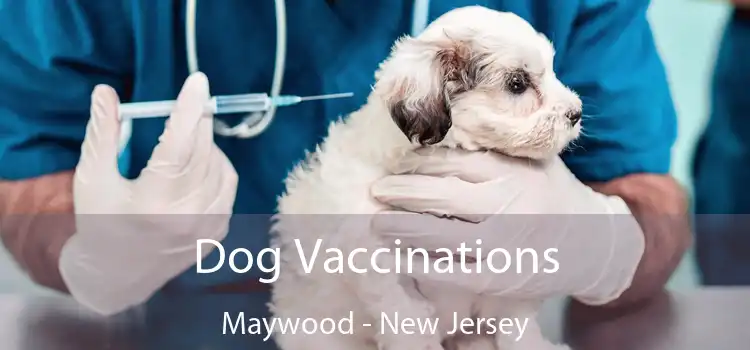 Dog Vaccinations Maywood - New Jersey