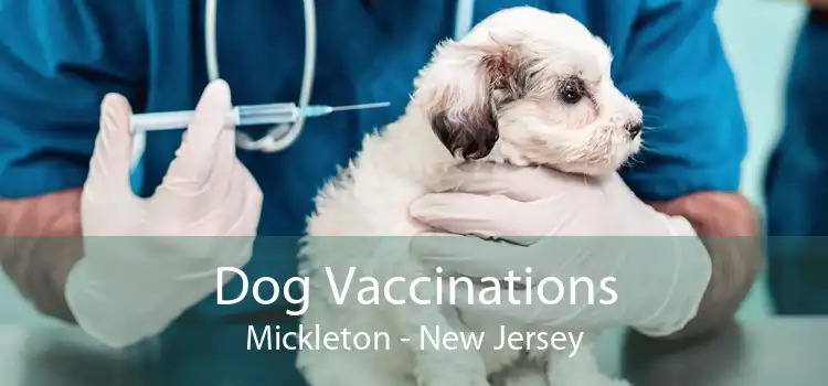 Dog Vaccinations Mickleton - New Jersey