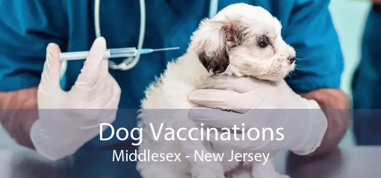 Dog Vaccinations Middlesex - New Jersey