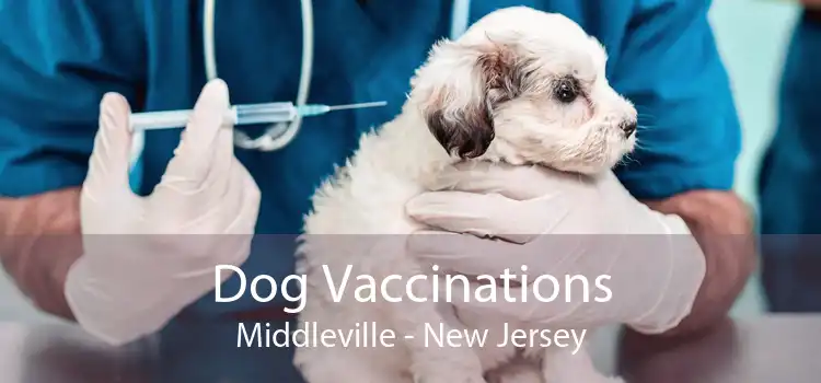 Dog Vaccinations Middleville - New Jersey