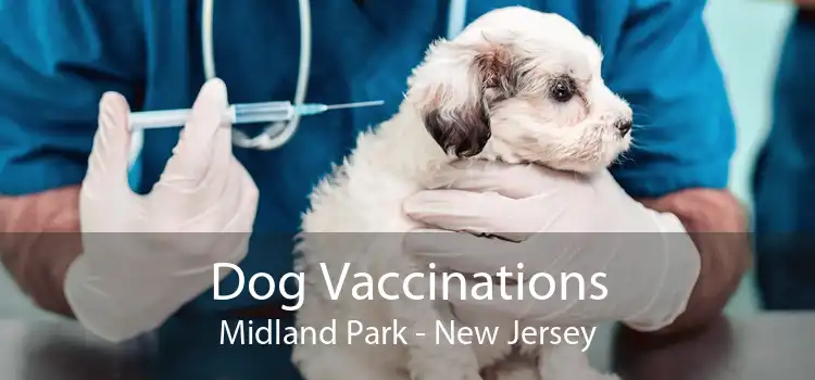 Dog Vaccinations Midland Park - New Jersey