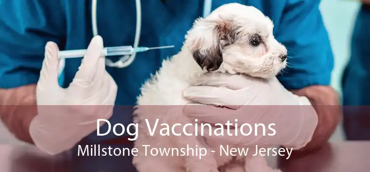 Dog Vaccinations Millstone Township - New Jersey