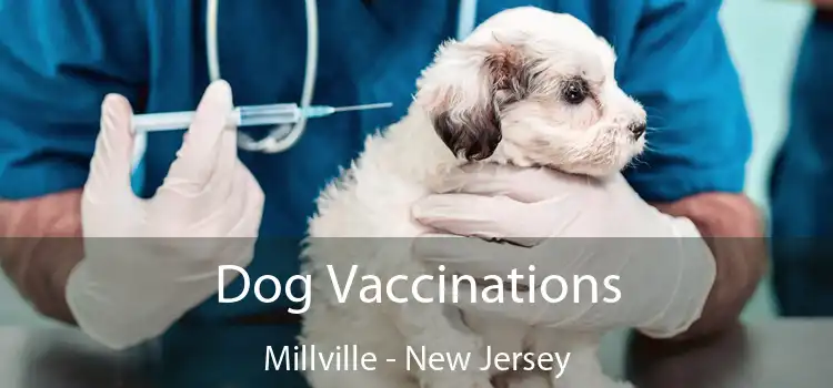 Dog Vaccinations Millville - New Jersey