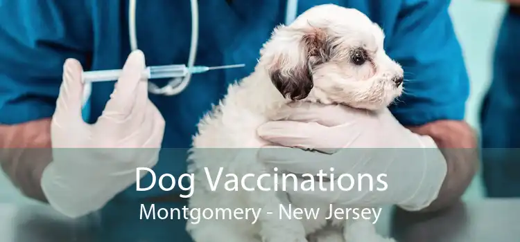 Dog Vaccinations Montgomery - New Jersey