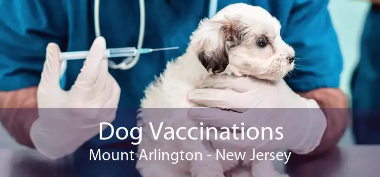 Dog Vaccinations Mount Arlington - New Jersey