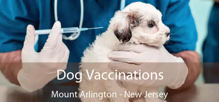 Dog Vaccinations Mount Arlington - New Jersey