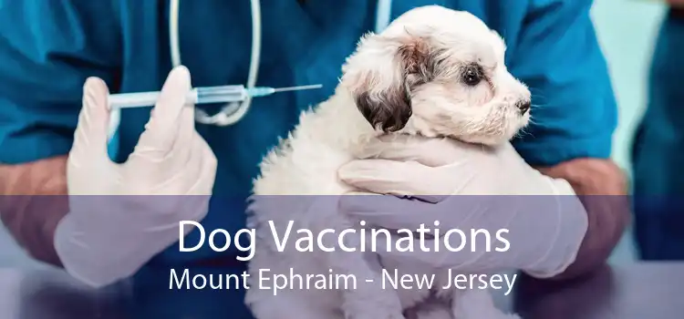 Dog Vaccinations Mount Ephraim - New Jersey