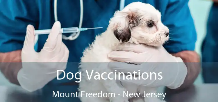 Dog Vaccinations Mount Freedom - New Jersey