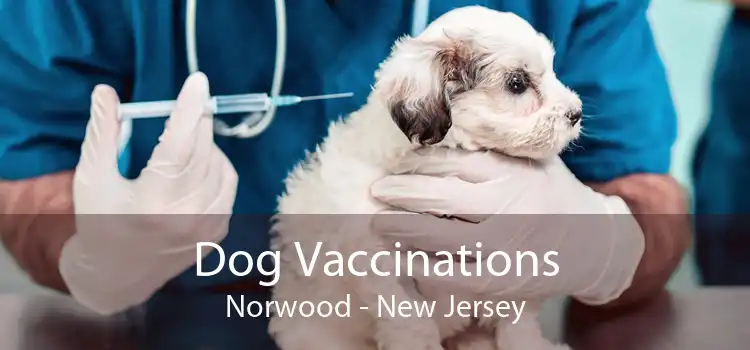 Dog Vaccinations Norwood - New Jersey
