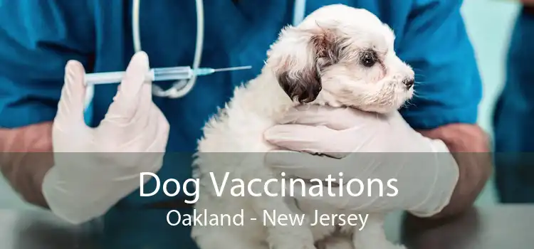 Dog Vaccinations Oakland - New Jersey