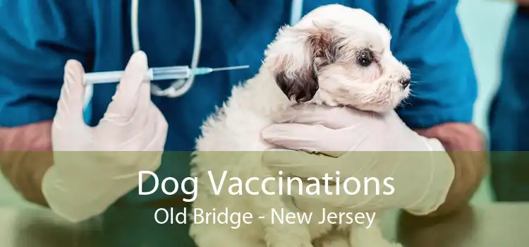 Dog Vaccinations Old Bridge - New Jersey