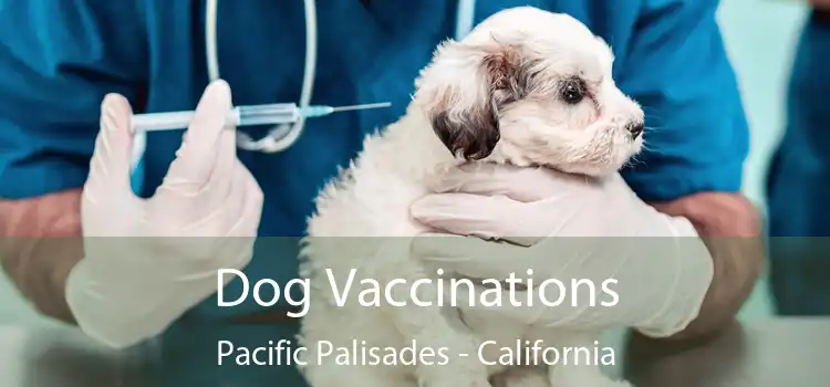 Dog Vaccinations Pacific Palisades - California