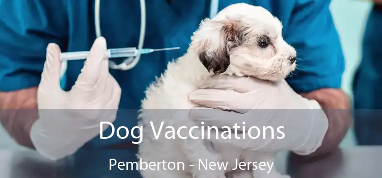 Dog Vaccinations Pemberton - New Jersey