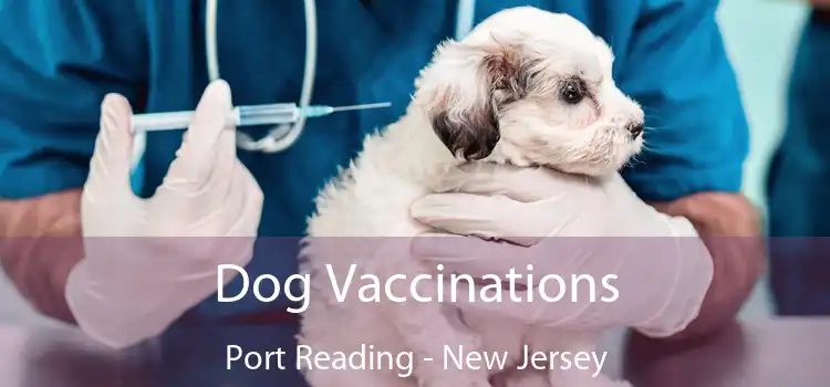 Dog Vaccinations Port Reading - New Jersey