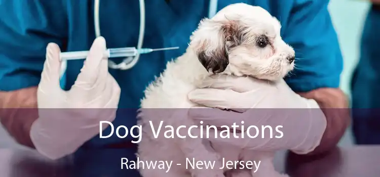 Dog Vaccinations Rahway - New Jersey