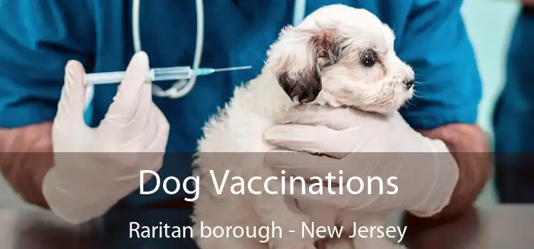 Dog Vaccinations Raritan borough - New Jersey