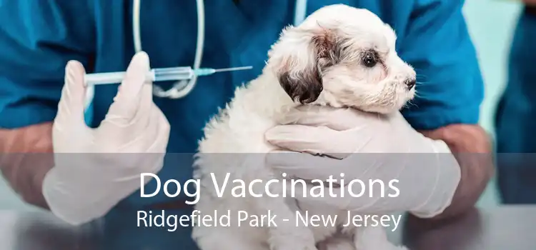 Dog Vaccinations Ridgefield Park - New Jersey